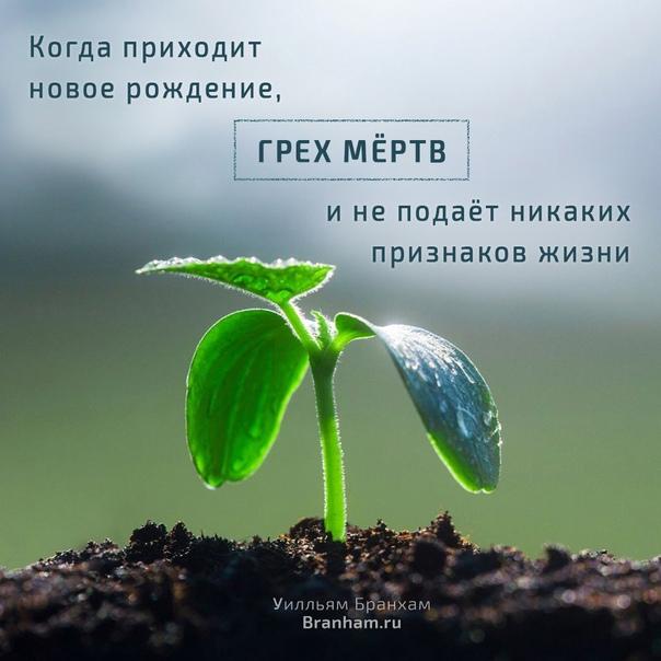 Картинка цитаты